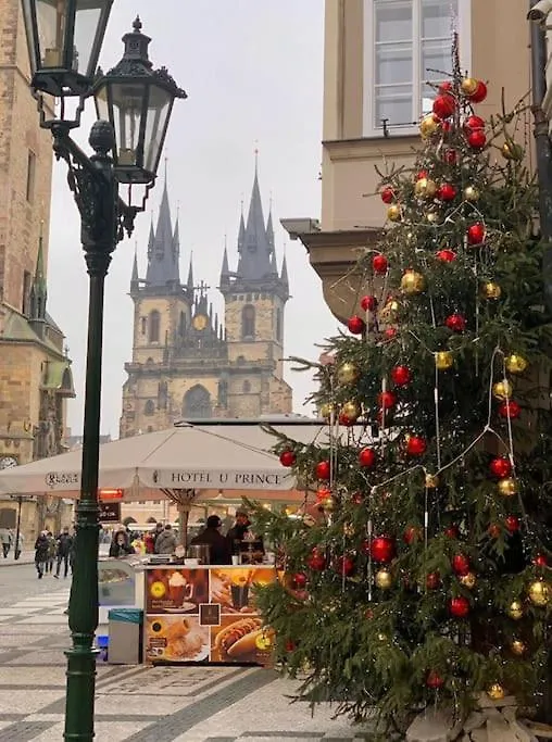 High-Class Rooftop Apt. With Spacious Terrace Prague Apartment